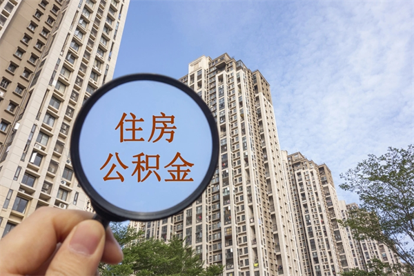 公积金怎么一次性全部提取-沙河公积金代办平台